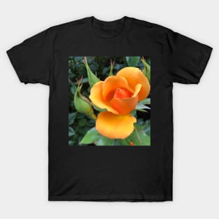 Orange Rose Flower T-Shirt